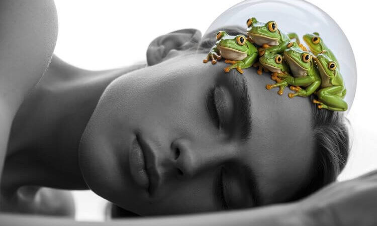 ¿Qué significa soñar con ranas?