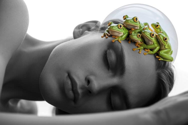 ¿Qué significa soñar con ranas?