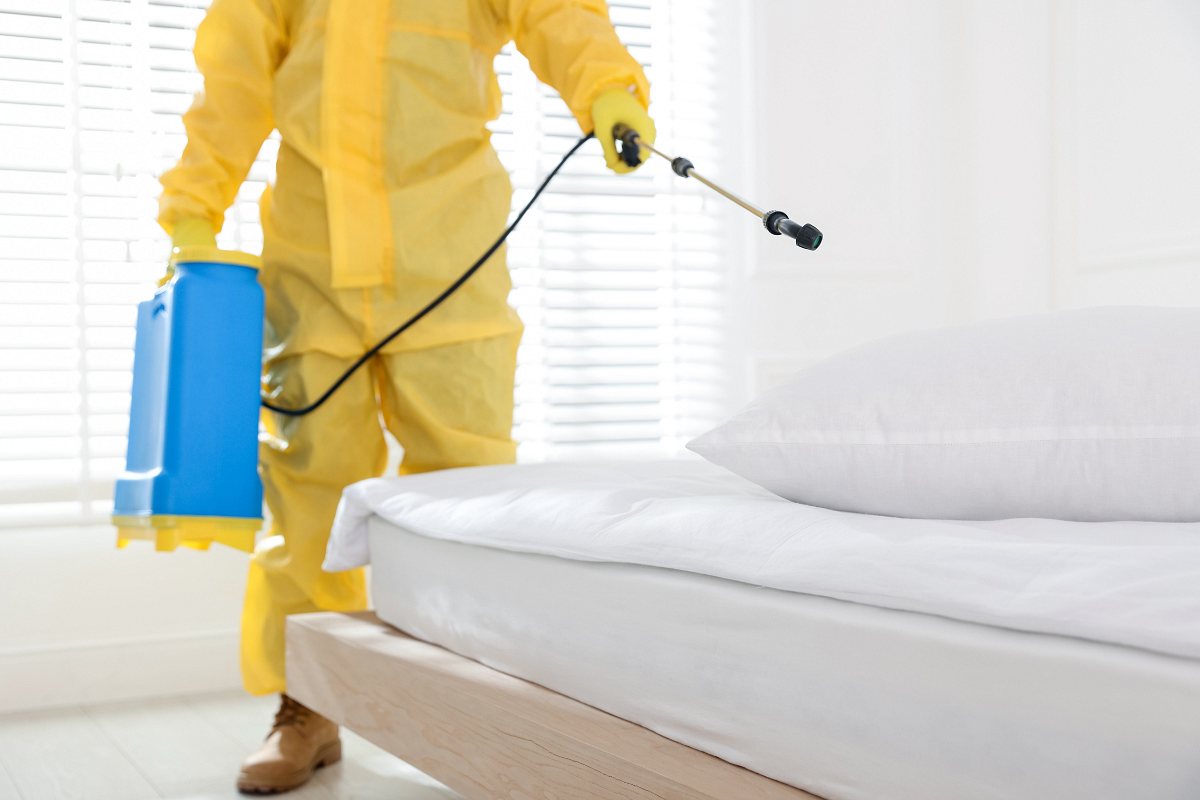 Insecticida para chinches: guía completa para eliminar las chinches de cama