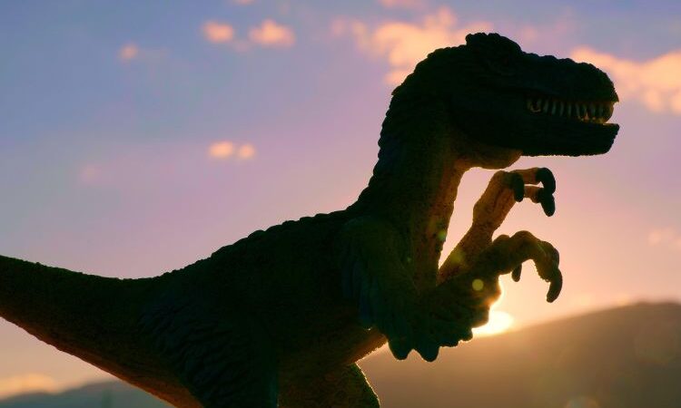 ¿Existe algún animal que no tenga depredadores?