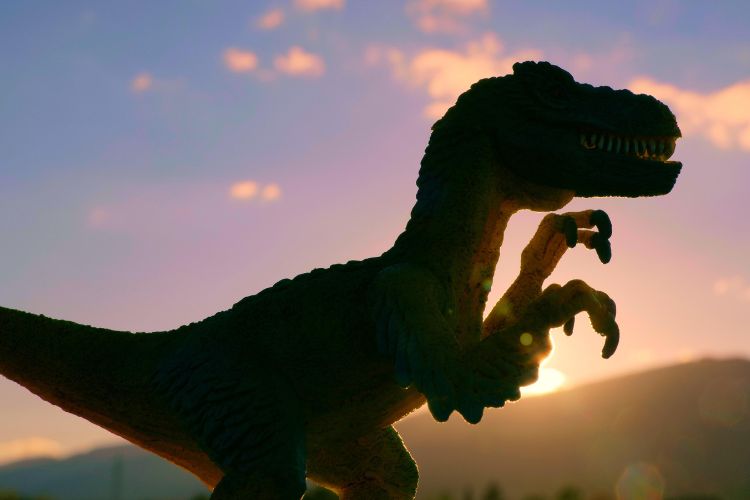 ¿Existe algún animal que no tenga depredadores?